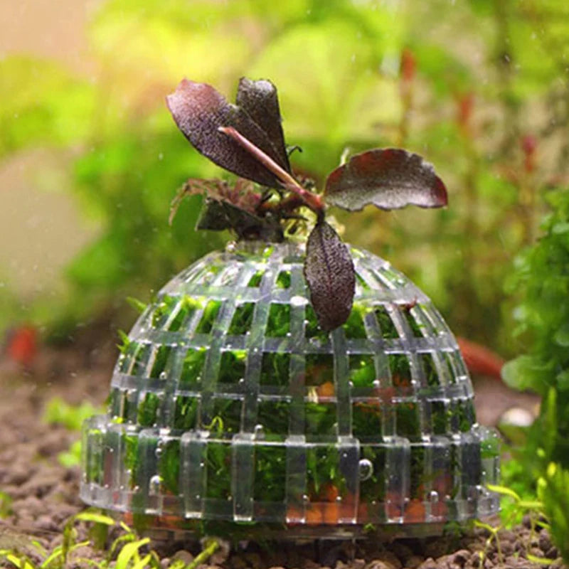 .1Pc Aquatic Pet Supplies Decorations Aquarium Moss Ball Live Plants Filter Pet Decor.