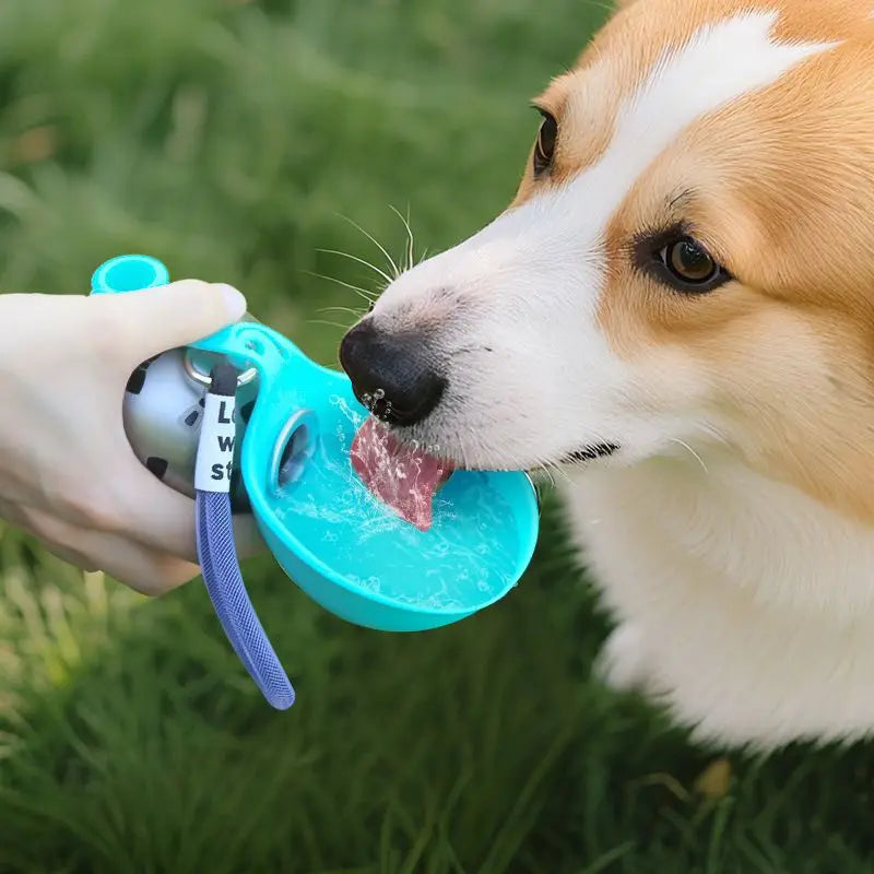 Pet Supplies Dogs Go Out Portable Drinking Pot 300ML Stainless Steel Hook Spherical Reflowable Folding Water Dispenser.