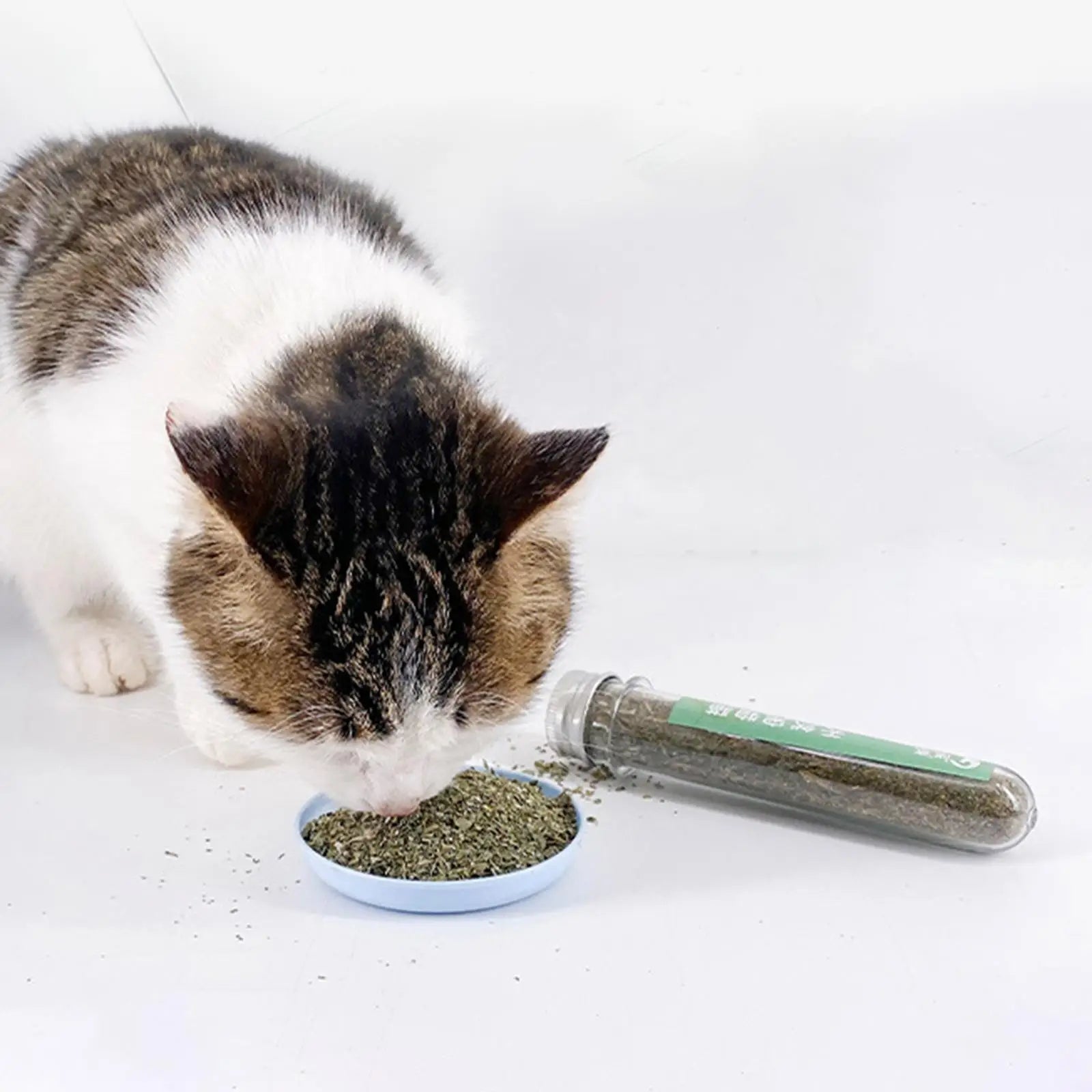 Catnip Powder for Cats Pet Supplies Cats Treats Catnip for Happy Kitten