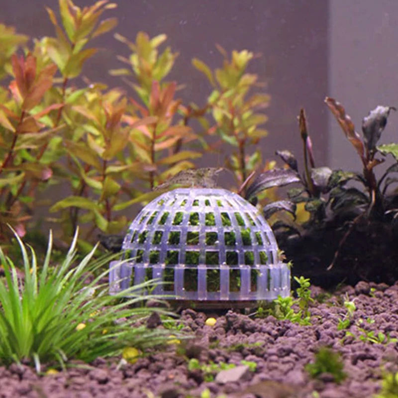 .1Pc Aquatic Pet Supplies Decorations Aquarium Moss Ball Live Plants Filter Pet Decor.