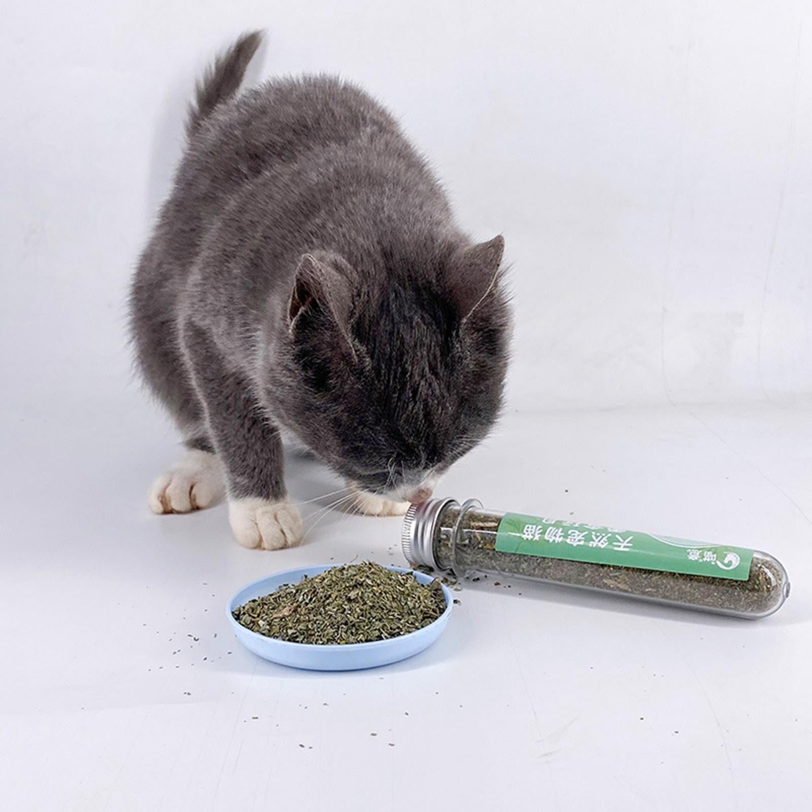 Catnip Powder for Cats Pet Supplies Cats Treats Catnip for Happy Kitten