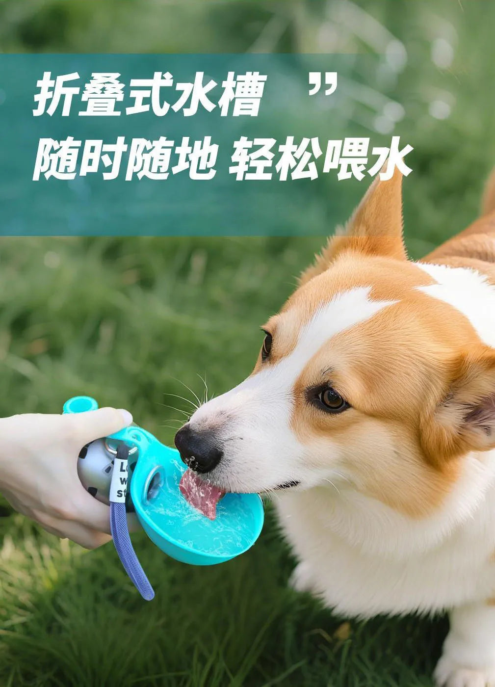 Pet Supplies Dogs Go Out Portable Drinking Pot 300ML Stainless Steel Hook Spherical Reflowable Folding Water Dispenser.