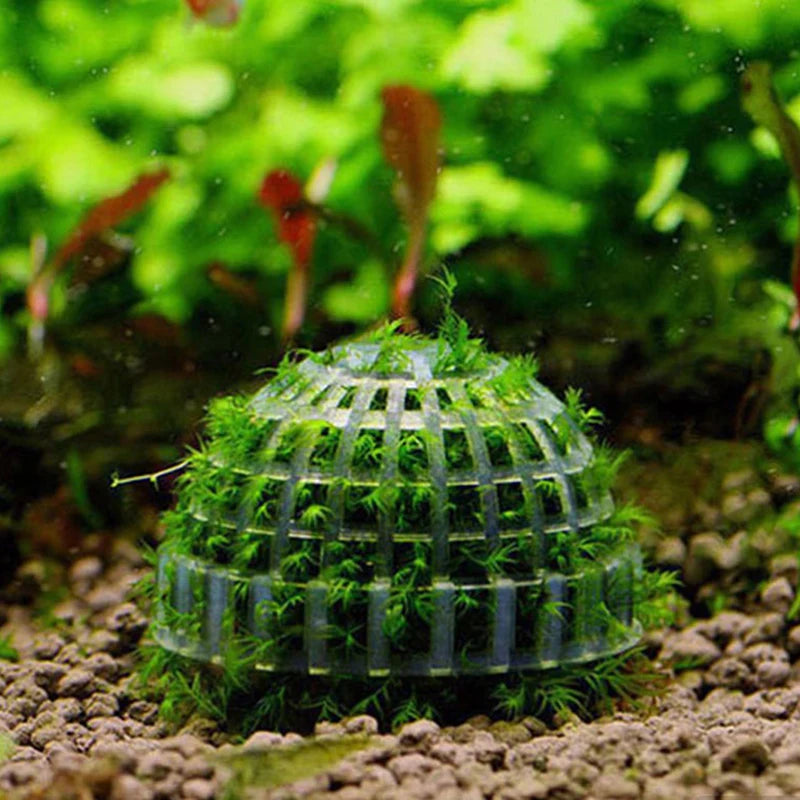.1Pc Aquatic Pet Supplies Decorations Aquarium Moss Ball Live Plants Filter Pet Decor.